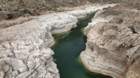 img42.jpg