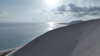 img46.jpg