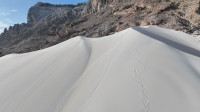 img47.jpg