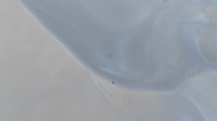 img60.jpg